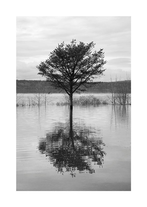 Black and white poster of a tree standing in a lake with its reflection mirrored in the water.