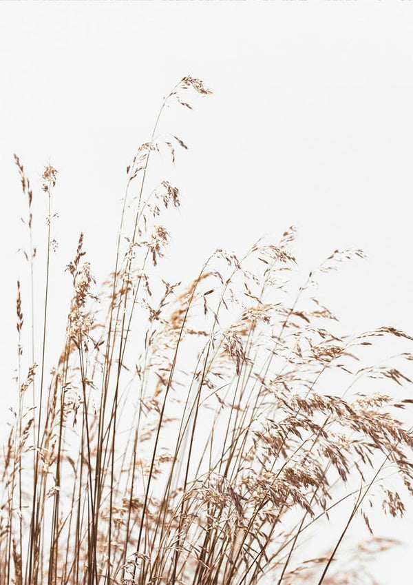 Minimalist artwork featuring delicate, abstract reeds against a light background for Abstract Reeds No. 2 Plakat.