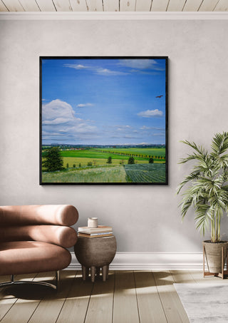 Uhlenhoch - East Germany by Juergen Duerrmann in a black frame above a leather armchair beside a palm