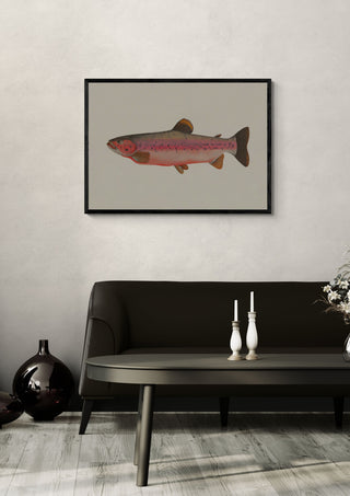 Fishy - Interiorisla