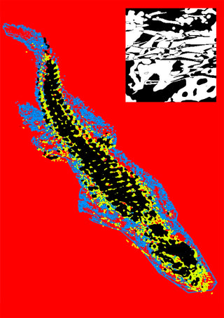 Swimming in Red by Francisco Gualter - abstract crocodile poster on red