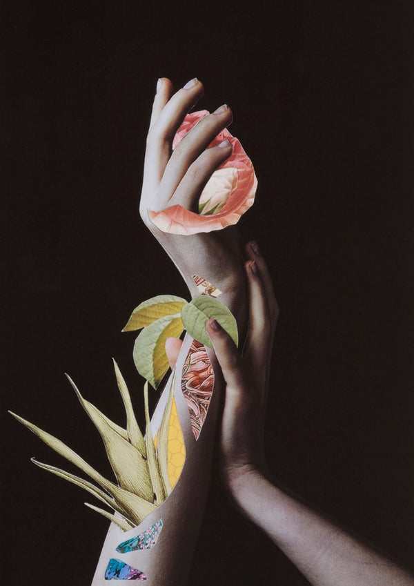 Hypnopompic by Rocio Montoya - pale hands holding a pink rose with leaves growing from the wrists