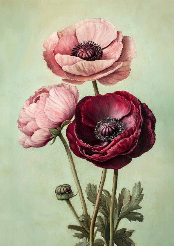 Blush and Burgundy by Annika Persson - two blush pink blooms and a deep burgundy flower on pale green