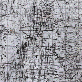 looks like a house by Priit Ruttas - a house emerging from dense black ink hatching