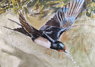 Swallow Over Water by RenataK - a swallow dipping to the water among reeds in watercolour