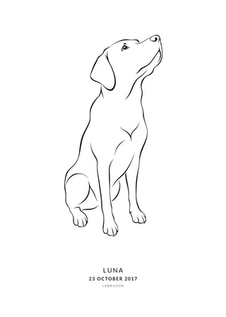 My Dog line art poster – Labrador line drawing with name, birthday and breed