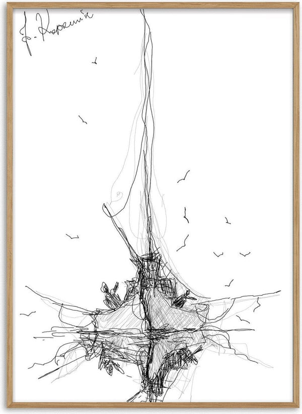 Ship and Gulls by Justyna Kopania - a tall ship drawn in fine black line with gulls around it