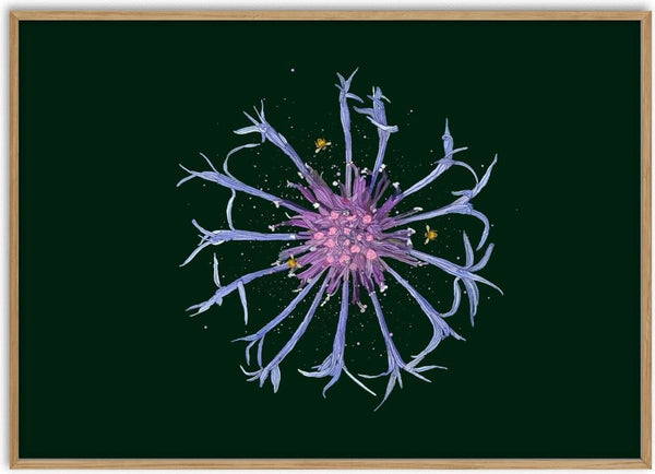 Cornflower in the Dark by Creationsbyeditabrus - a blue and pink cornflower on a deep green ground