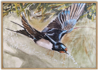 Swallow Over Water - RenataK