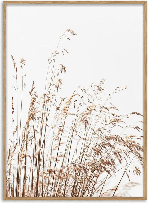 Minimalist artwork featuring delicate, abstract reeds against a light background for Abstract Reeds No. 2 Plakat.