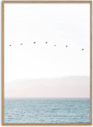 Birds in a straight line Poster