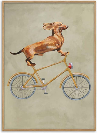 Daschund on Bicycle - Coco de Paris
