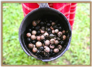 Dye with Ebony - Elefteria