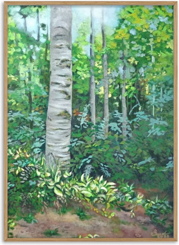 In the Silence of the Forest by Cristina Iacob - a white birch against green canopy and a bare forest path