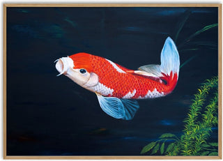My koi - Juergen Duerrmann