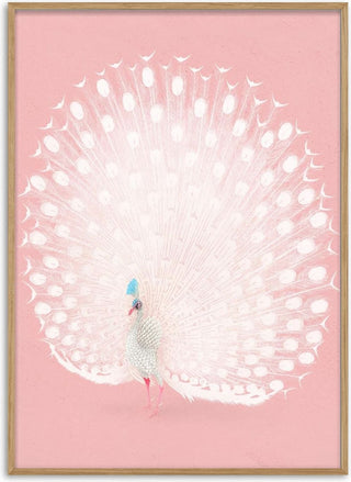 Pink peacock by Ohara Koson poster