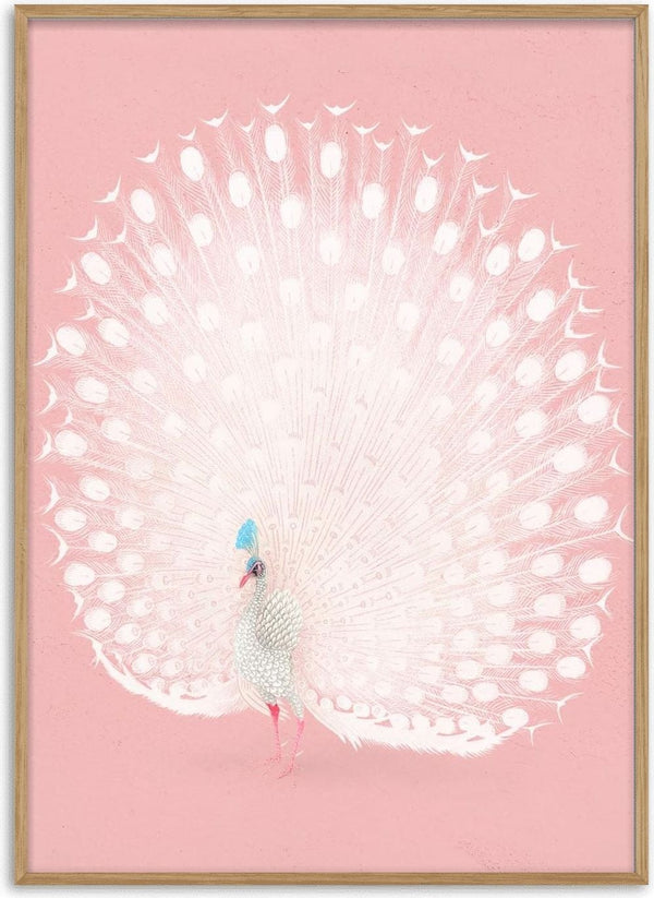 Ροζ παγόνι του Ohara Koson, αφίσα