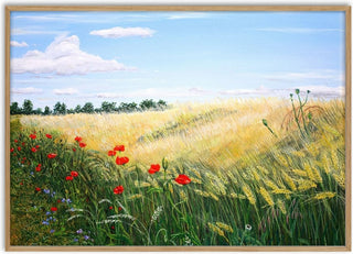 Summer - Juergen Duerrmann